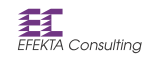 Efekta Consulting